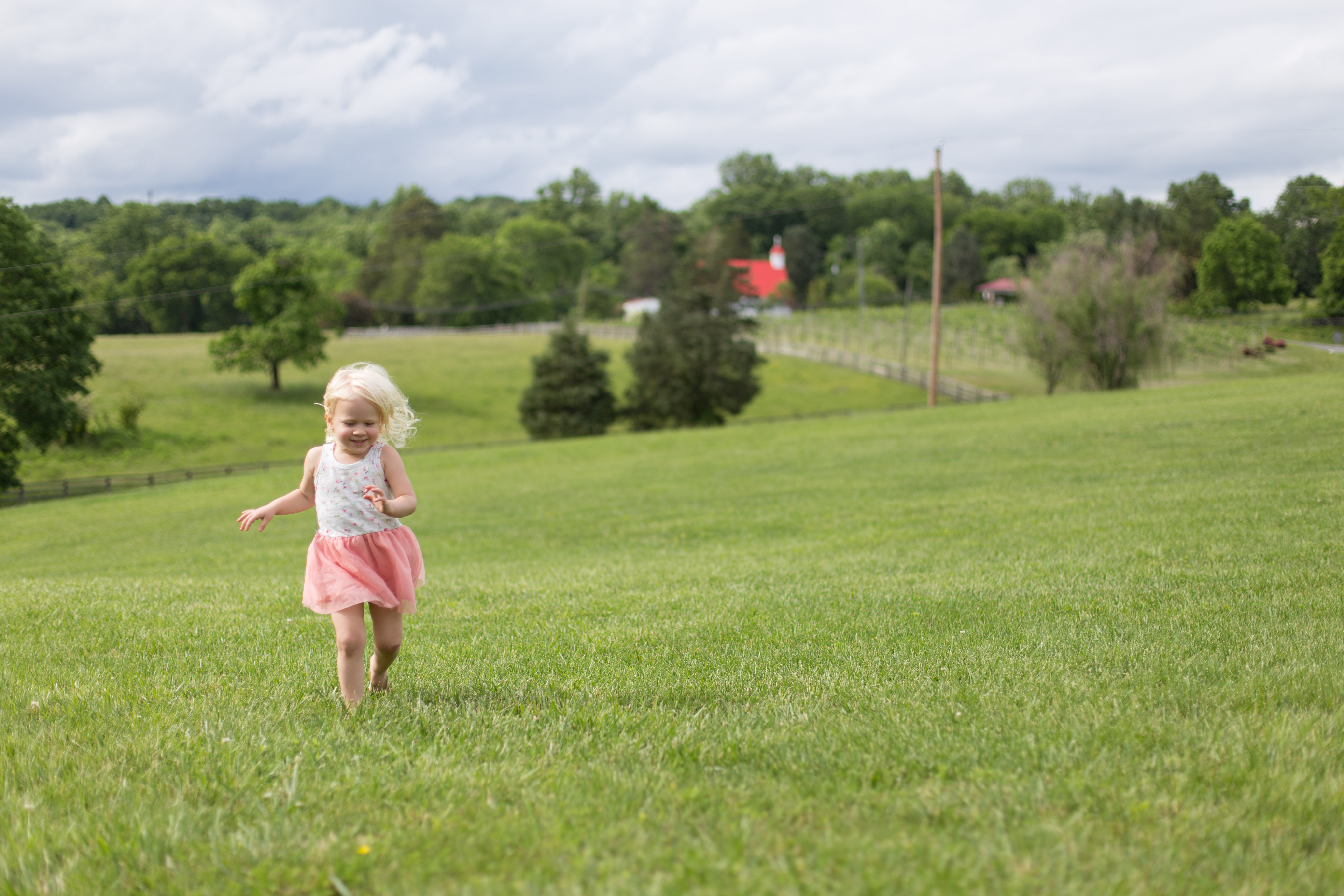 elliewedding_wordpress-6